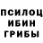Галлюциногенные грибы GOLDEN TEACHER Kivennok ://